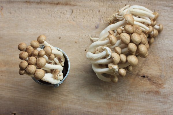 Много черного гриба
