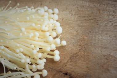 Altın iğne mantar beyaz