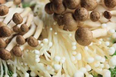 Altın iğne mantar beyaz