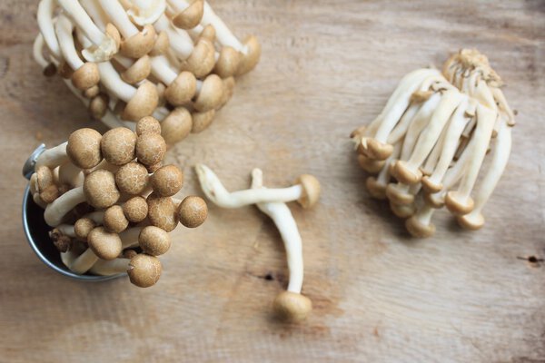 Много черного гриба
