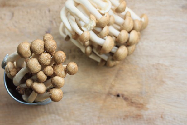 Много черного гриба
