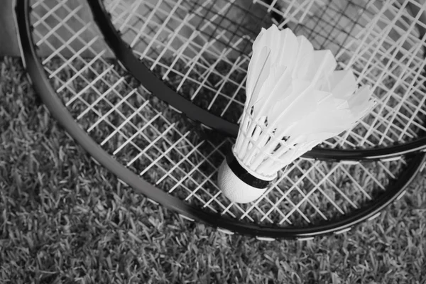 Bollar med badmintonracketen — Stockfoto