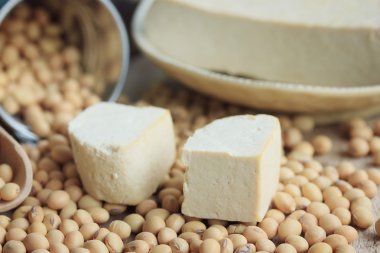 Tohum soya ile tofu