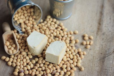 Tohum soya ile tofu