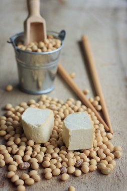 Tohum soya ile tofu