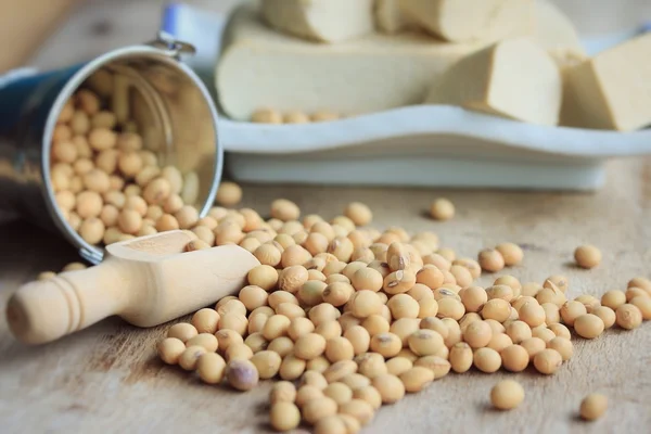 Tofu with seed soybean — Stock Photo, Image