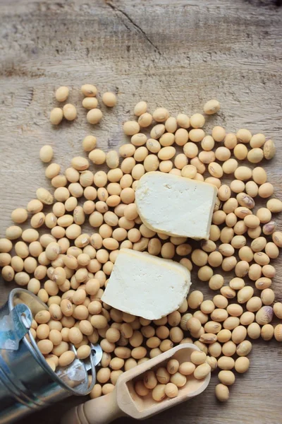 Tofu with seed soybean — Stock Photo, Image