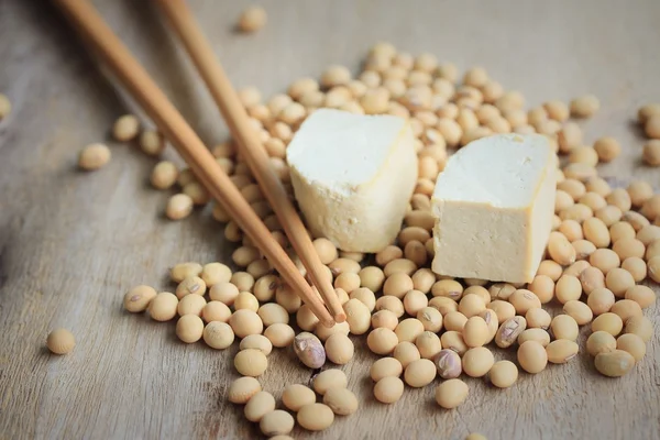 Tofu és a szója vetőmagok — Stock Fotó