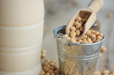 Soya sütü soya ile