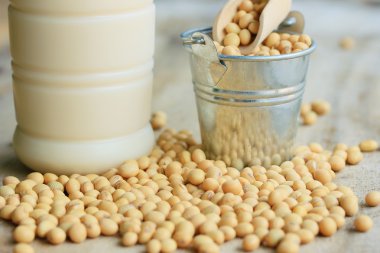 Soya sütü soya ile