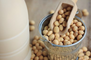 Soya sütü soya ile