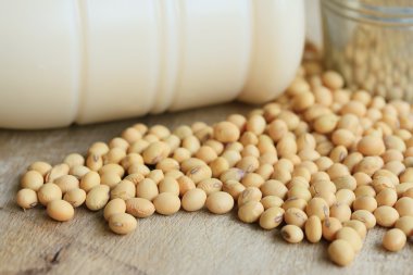 Soya sütü soya ile