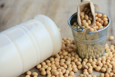 Soya sütü soya ile