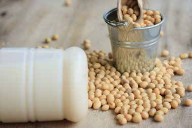 Soya sütü soya ile