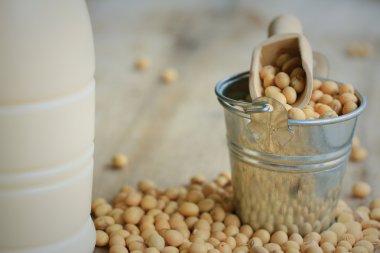 Soya sütü soya ile