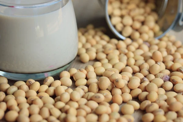 Soy milk with soybean — Stock Photo, Image