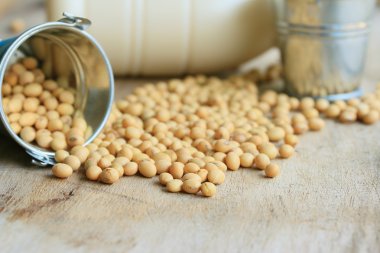 Soya sütü soya ile