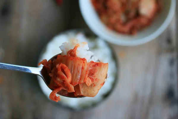Kimchi a dušená rýže — Stock fotografie