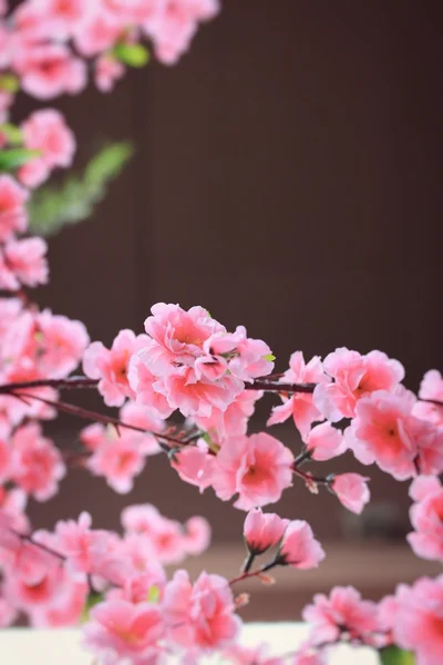 Artificial the cherry blossoms — Stock Photo, Image