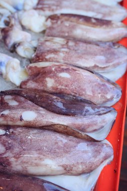 pazarda taze kalamar