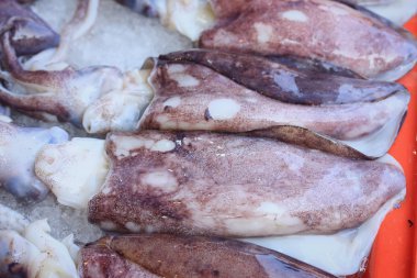 pazarda taze kalamar