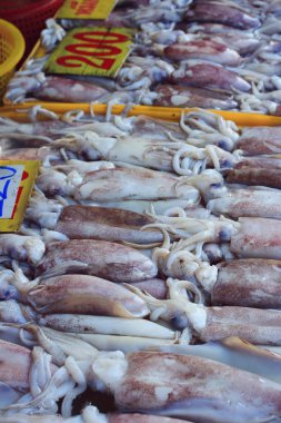 pazarda taze kalamar