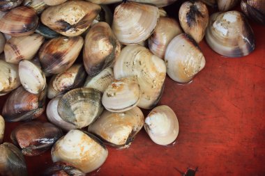 Pazarda taze salyangoz