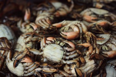 pazarda tuzlu Yengeç