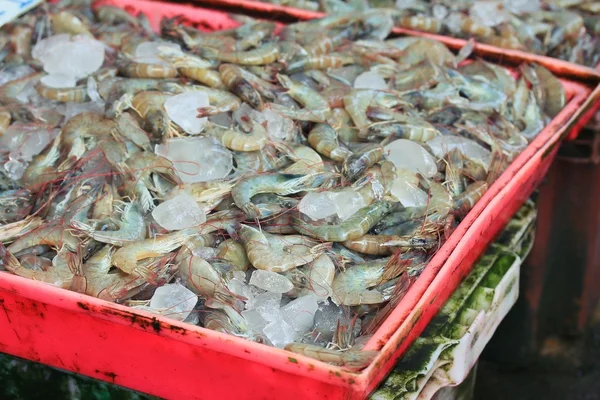 Crevettes fraîches au marché — Photo