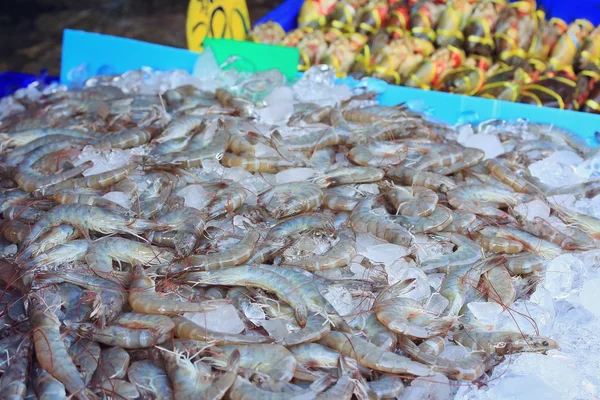 Crevettes fraîches au marché — Photo