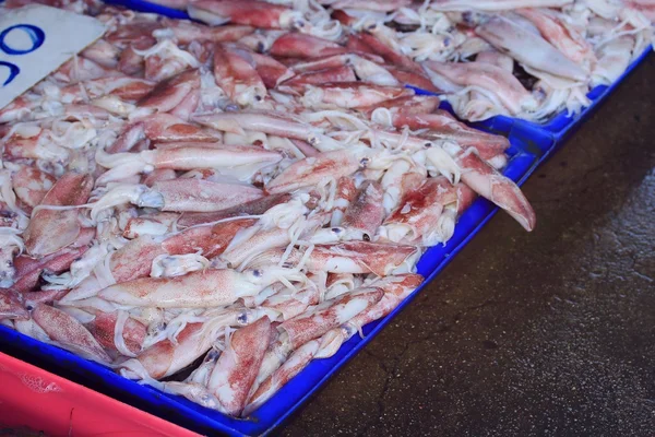 Calamari freschi sul mercato — Foto Stock