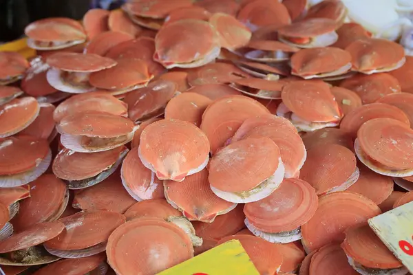 Свежие моллюски на рынке — стоковое фото