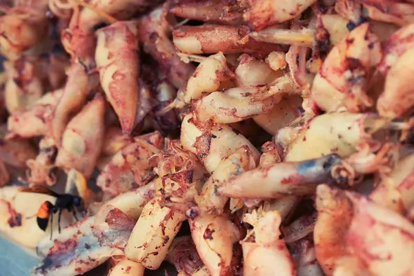 Getrockneter Tintenfisch auf dem Markt — Stockfoto