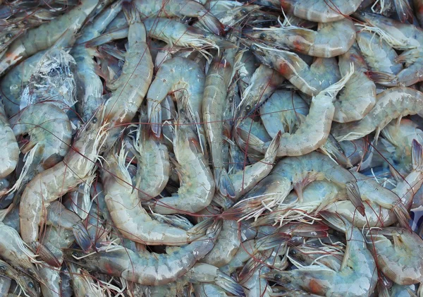 Fresh shrimp at market — Stock Photo, Image