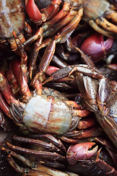 Gesalzene Krabben auf dem Markt — Stockfoto