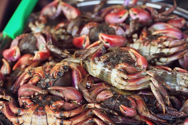 Cangrejo salado en el mercado — Foto de Stock