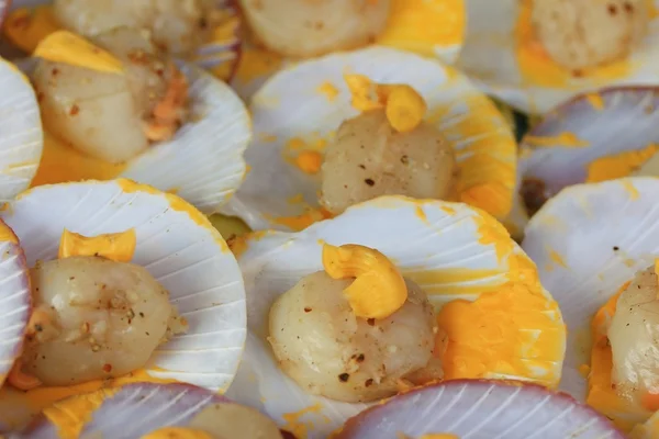 Scallops grilled butter cheese — Stock Photo, Image