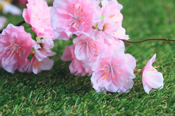 Kunstige kirsebærblomster - Stock-foto