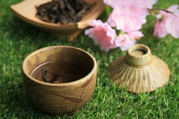 Varmt te och sakura — Stockfoto