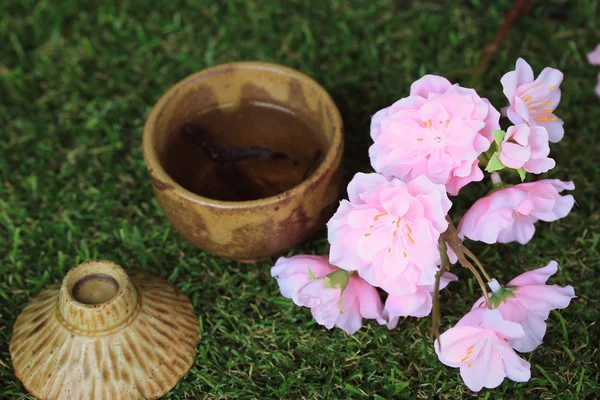 Thé chaud et sakura — Photo