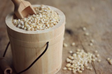 bir yığın arpa tohumu