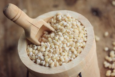 bir yığın arpa tohumu