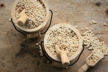 bir yığın arpa tohumu