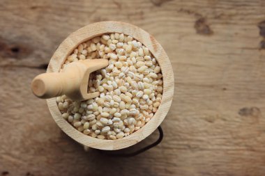 bir yığın arpa tohumu