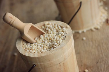 bir yığın arpa tohumu