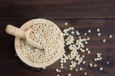 bir yığın arpa tohumu