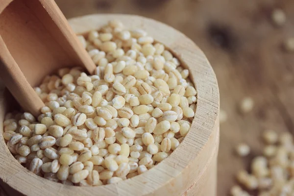 bir yığın arpa tohumu