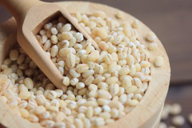 bir yığın arpa tohumu