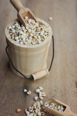 Organik darı pirinç tohumu