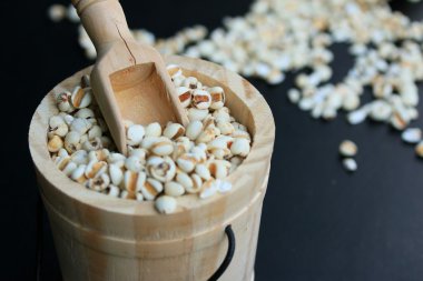 Organik darı pirinç tohumu